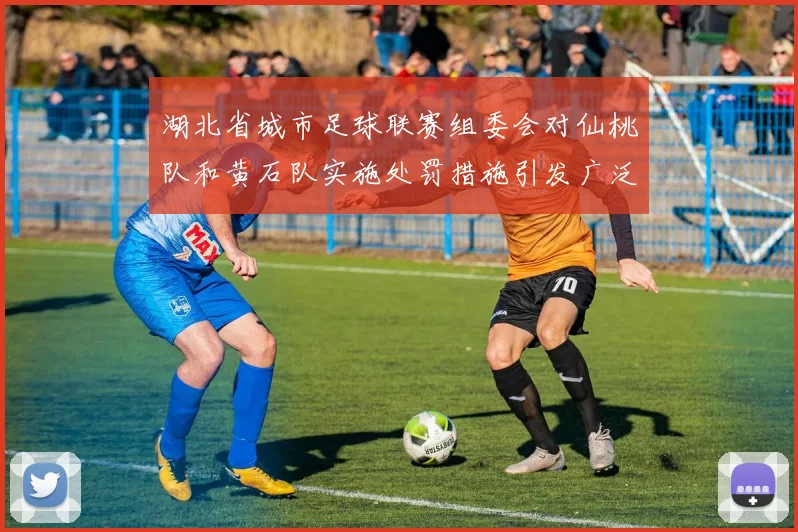 湖北省城市足球联赛组委会对仙桃队和黄石队实施处罚措施引发广泛关注